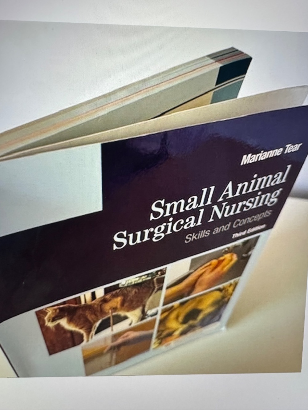 Small Animal Surgical Nursing - Picture 7 of 8